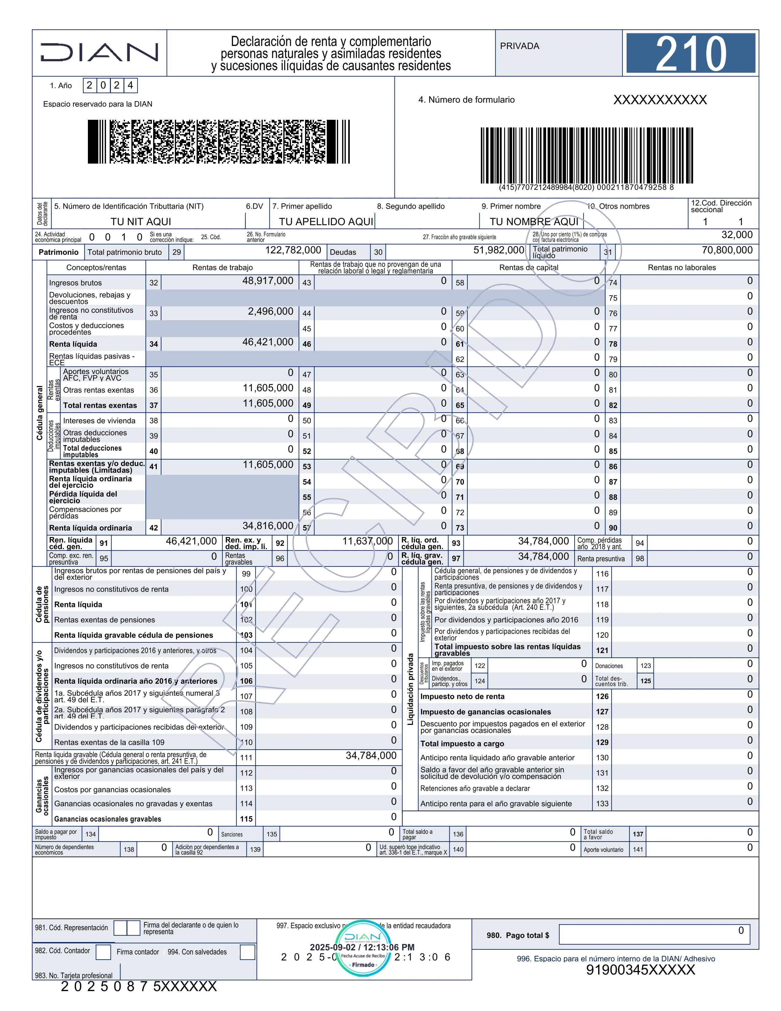 DIAN RENTA F-210.pdf